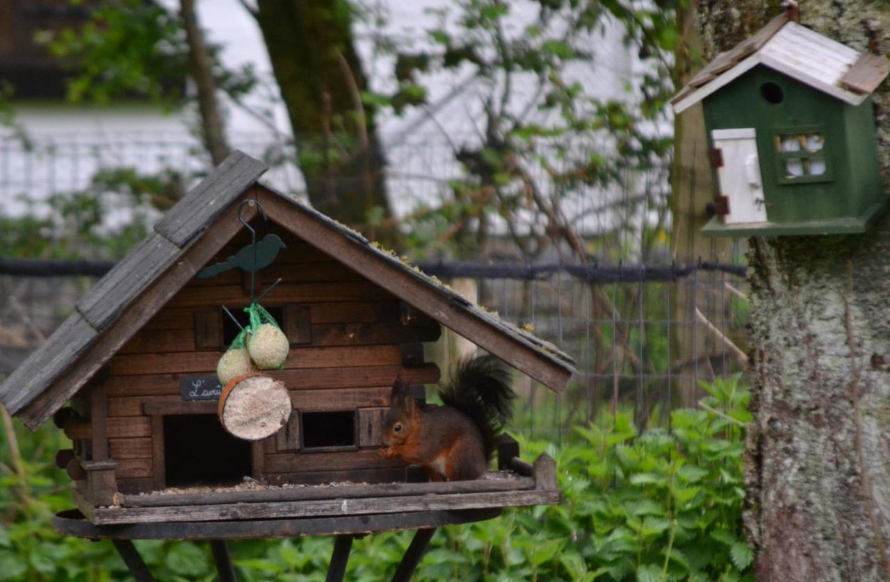 A La Ferme Du Pere Eugene Otel Malmedy Dış mekan fotoğraf